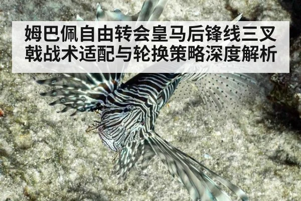 姆巴佩自由转会皇马后锋线三叉戟战术适配与轮换策略深度解析